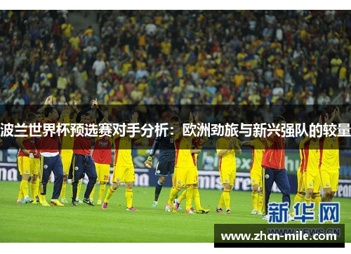 波兰世界杯预选赛对手分析：欧洲劲旅与新兴强队的较量