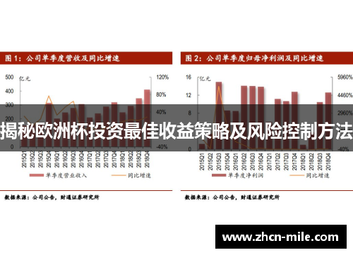 揭秘欧洲杯投资最佳收益策略及风险控制方法