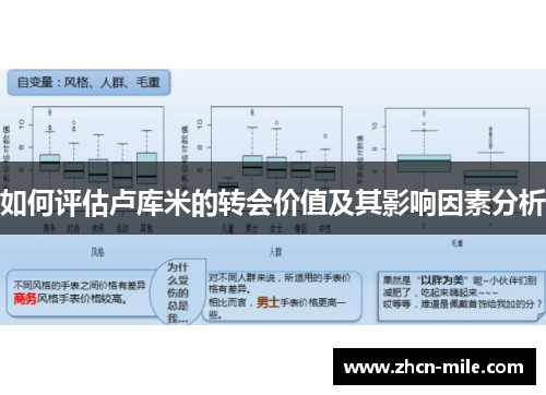 如何评估卢库米的转会价值及其影响因素分析