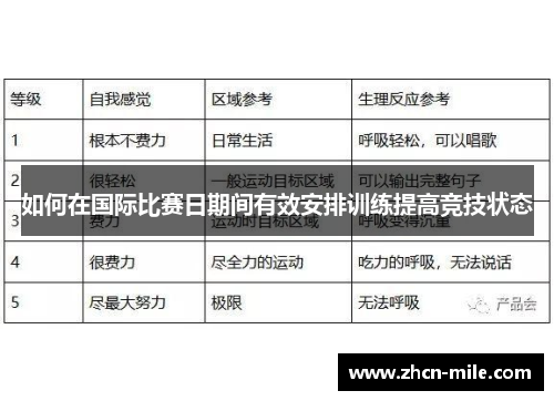 如何在国际比赛日期间有效安排训练提高竞技状态
