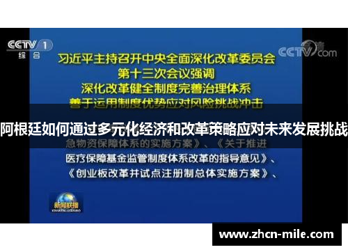 阿根廷如何通过多元化经济和改革策略应对未来发展挑战
